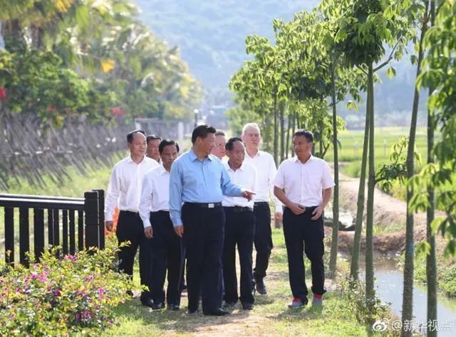 习近平袁隆平南繁基地01.webp.jpg